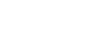 Planes Moving and Storage, a full service moving company's logo